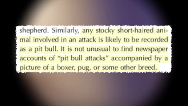 Pit Bulls Vs Toddlers: A Review смотреть онлайн