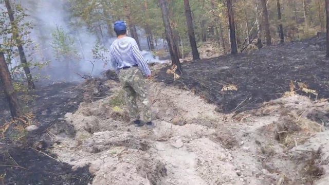 Тушим лес возле Тургояка смотреть онлайн