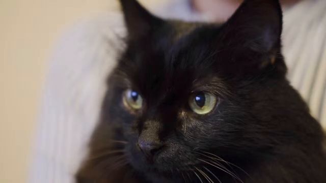 Masaya Hashimoto & Syuuji Morita Duo Live Streaming [2] смотреть онлайн