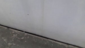 Утепление и обшивка балкона своими руками. Часть 1- подготовка....