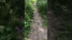 Сплав на байдарке по Волге с ночевой. Саше 2 года.