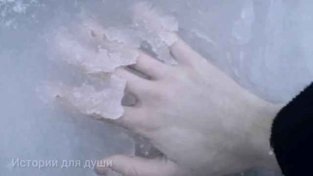 Ей было так холодно что она даже не спросила куда они идут. В незнакомых глазах она увидела такое смотреть онлайн