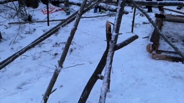 Постройка укрытия в зимнем лесу. Проект Чистота.