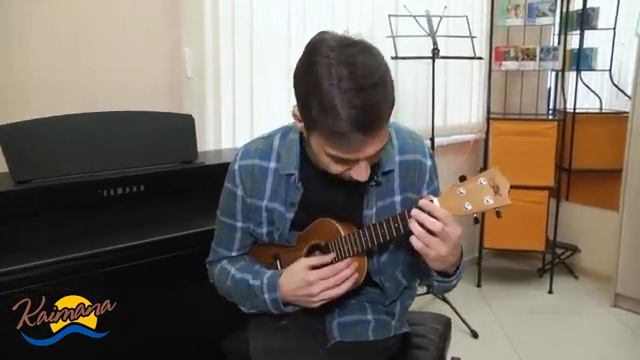 Концертные укулеле производства Индонезия - Kaimana UK-23 смотреть онлайн