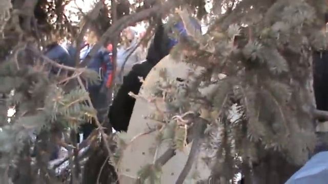 Брошенный под елочку беркутовский щит смотреть онлайн