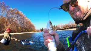 ПОДОБРАЛ МУХУ НА ЛЕНКА! Горная рыбалка в Приморском крае.