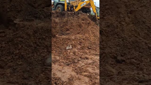 насыщенный грунт, всё осыпается