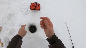 ЭТА СНАСТЬ НЕ ОСТАВЛЯЕТ КАРАСЮ ШАНСОВ!!! КЛЮЕТ ОДИН ЗА ОДНИМ!!! РЫБАЛКА НА КАРАСЯ СО ЛЬДА В МАРТЕ..