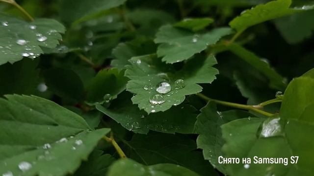 5 ПРОСТЫХ СПОСОБОВ съемки на смартфон Samsung смотреть онлайн