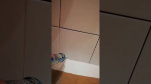 Силикон в душевом поддоне