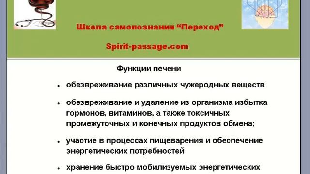 Вебинар.Первоэлемент дерево. 1 часть. Функции печени и желчного пузыря. смотреть онлайн
