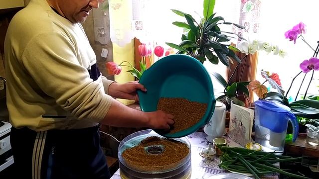 Сушилка для пыльци пчелиной бюджетный вариант для небольшой пасеки! Собираем качественную пыльцу! смотреть онлайн