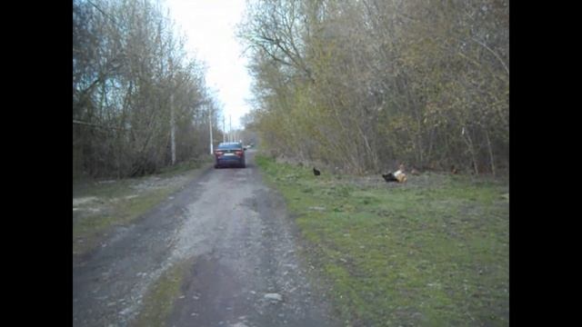 Домик в деревне // Сад и огород // Ремонт комнаты смотреть онлайн