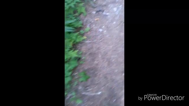 VLOG: Отдых на Талой. Змеи, шмели, пауты, пауки, щуки и т.д. смотреть онлайн