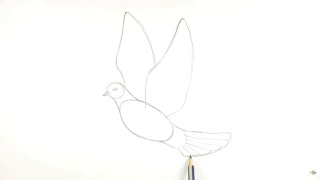 КӨГЕРШІН СУРЕТИН САЛАМЫЗ/LEARNING TO DRAW A DOVE/КАК НАРИСОВАТЬ ГОЛУБЯ смотреть онлайн