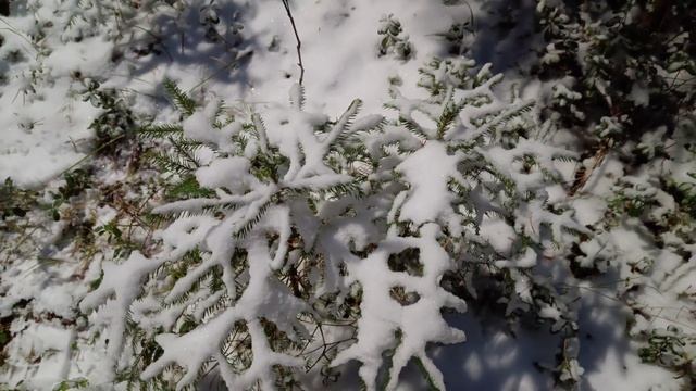 А ЗАВТРА БУДЕТ НОЯБРЬ. ПРЯНЫЙ, КОЛЮЧИЙ, СНЕЖНЫЙ, ДУРМАННЫЙ.