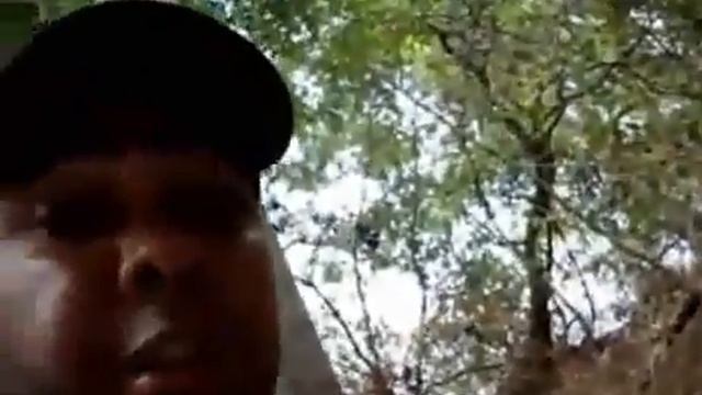 Аллигатор укусил Электрического угря мутанта. смотреть онлайн