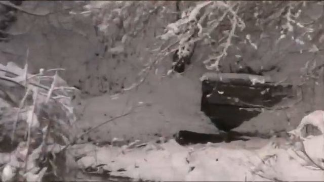31.01.2021г. иду домой с охоты без трофея , и встретил рыбаков. смотреть онлайн