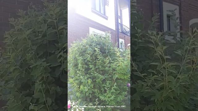 коттедж в Терехово смотреть онлайн