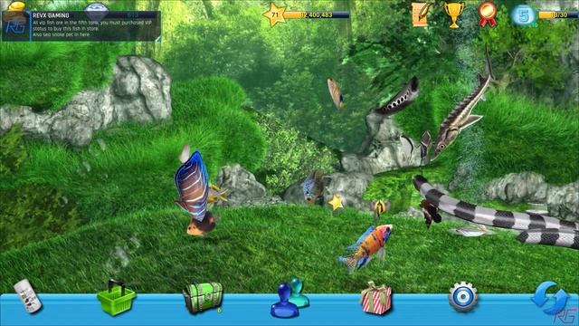 AQUALIFE 3D | ALL SPECIAL FISH, GRAND PRIZE FISH, PREDATOR FISH, PET FISH & VIP FISH Completed 100% смотреть онлайн