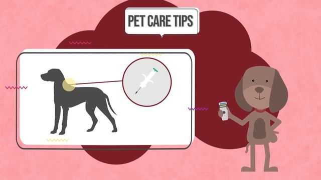 "My Pet Doesn't Need A Microchip!" Think Again... смотреть онлайн