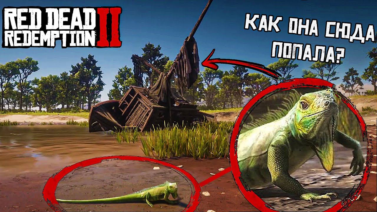 Теория о разбитом корабле | Откуда появились Зелёные игуаны и Карибские крабы?! смотреть онлайн