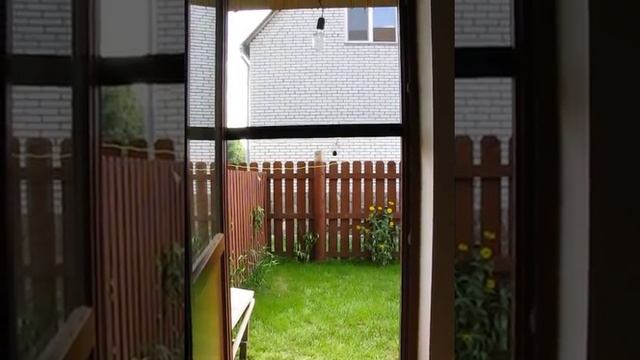 Антимоскитная роллетная сетка с самотормозящим механизмом смотреть онлайн