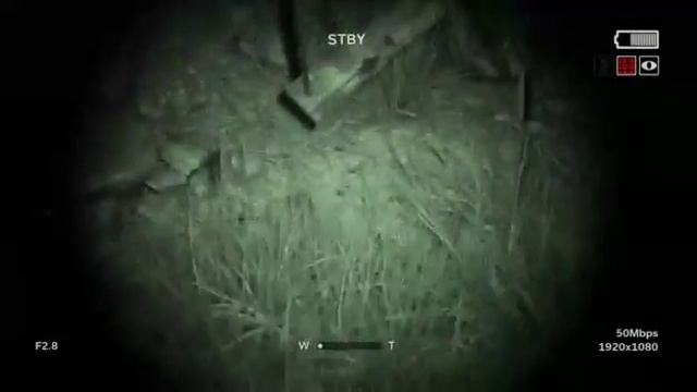 Thats A Tall Woman (OutLast 2!!!!!) смотреть онлайн