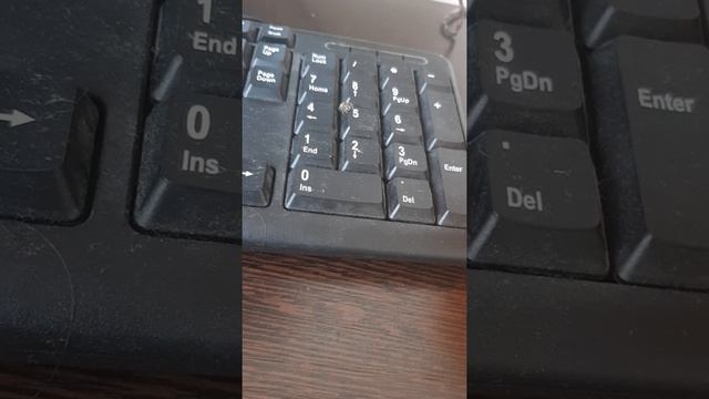 ПАУК ползает по клавиатуре смотреть онлайн