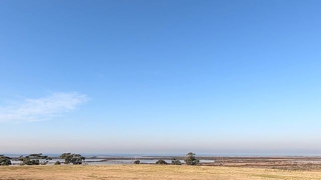 Flight Review: FMS Super Viper 70mm EDF Jet