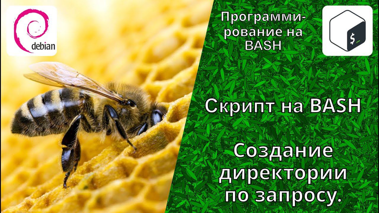 Создание BASH скрипта для работы с директориями. Создание директории по условию в BASH скрипте. смотреть онлайн