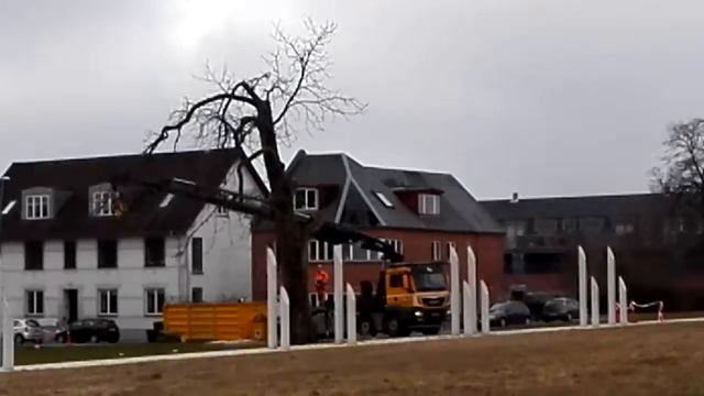 Как пилят деревья в Дании смотреть онлайн