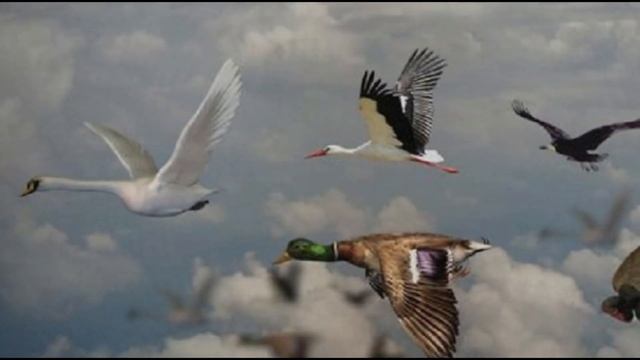 ЭТО БУДЕТ САМЫЙ ЛУЧШИЙ ГОД В.ТРЕТЬЯКОВ смотреть онлайн