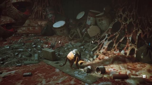 Stray 5 СИМУЛЯТОР КОТА смотреть онлайн