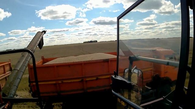 Палессе GS812 обмолот пшеницы напрямую смотреть онлайн