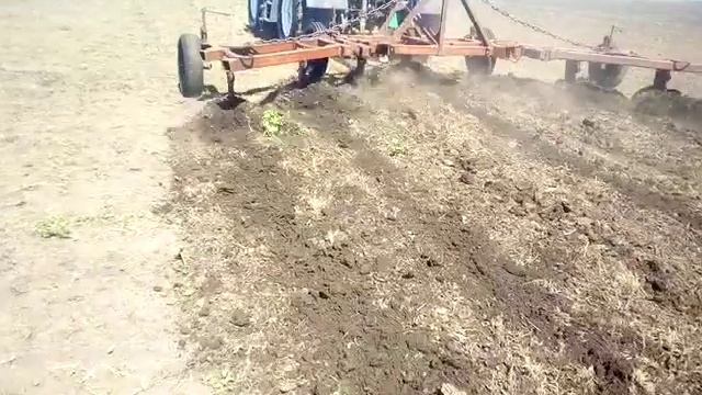 Плоскорезим зябь. Готовим почву под сев озимых. смотреть онлайн