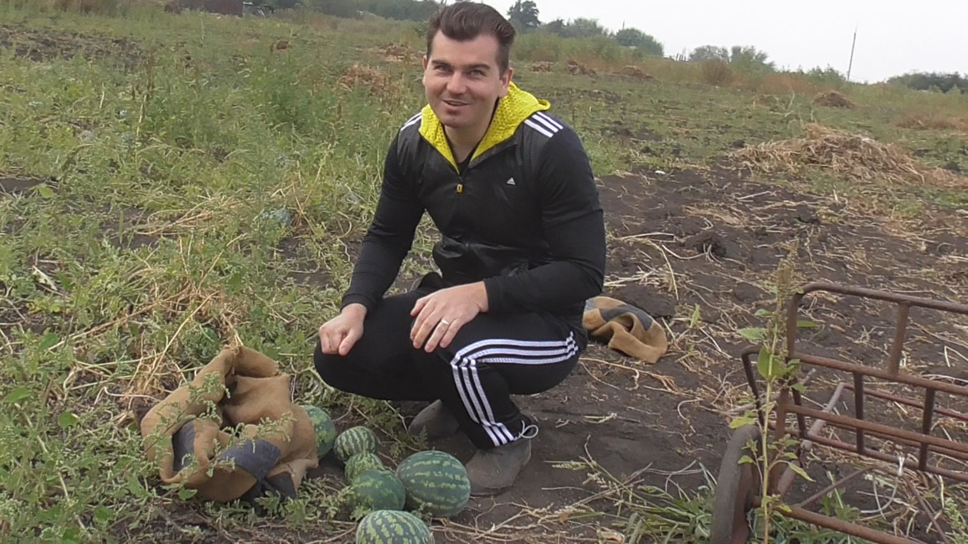 Рвём с бабушкой арбузы на огороде смотреть онлайн