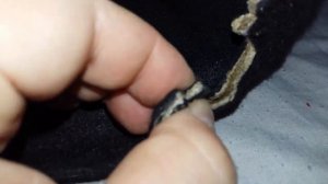 Ремонт полки багажника Форд фокус 3 хетчбэк