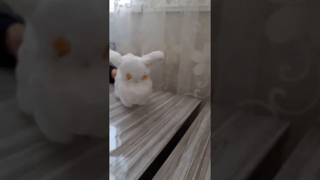 Овечка из снега в Кусарах смотреть онлайн