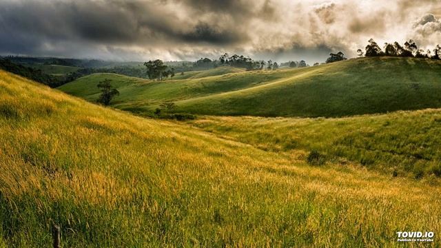 Холмы (стих Бродского) смотреть онлайн