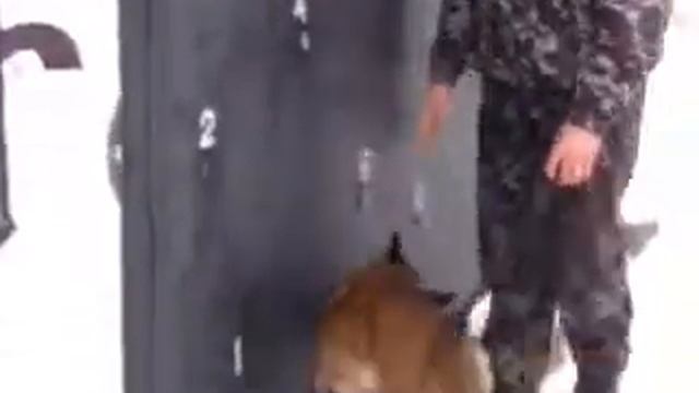 Поиск ВВ и НВ смотреть онлайн