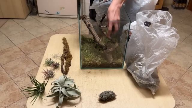 Флорариум с тилландсиями своими руками. Мастер-класс по переделке аквариума. смотреть онлайн