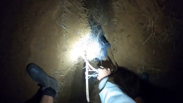 Night Hunting Porcupine With A Shotgun!!! смотреть онлайн