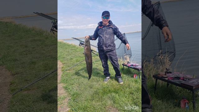 рыбалка на карпа в апреле.