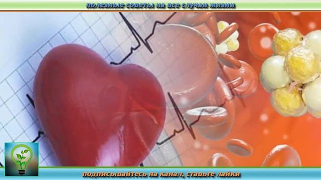 Вся ПРАВДА про СЕМЕЧКИ ТЫКВЫ. Что будет если есть тыквенные семечки КАЖДЫЙ ДЕНЬ. Рецепты ЗДОРОВЬЯ смотреть онлайн