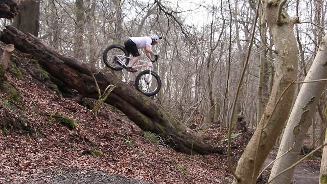 Tree Lines : Fat Bike Trials смотреть онлайн
