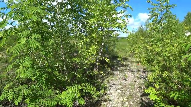 Мыс Стрелка 3 июня 2020 (3 часть) смотреть онлайн