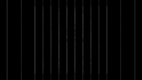 Захириддин Мухаммад Бобур