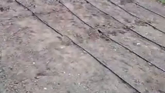 Капельный полив видео дачного участка в черте города смотреть онлайн
