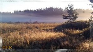 БЕЛЫЕ ТУМАНЫ  Марсель Давлетов